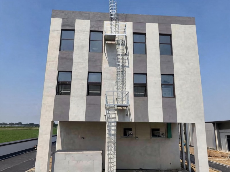 Cage ladder installation service for a modern building