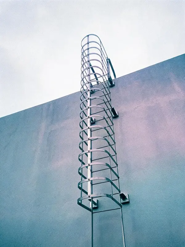 Aluminium cage ladder